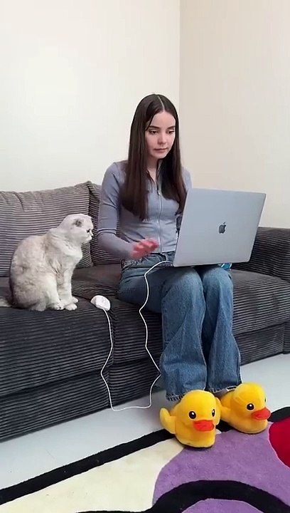 Sonya is smarter than me #cat