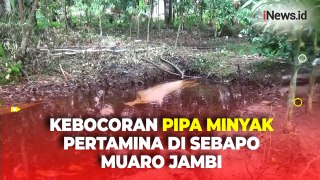 Saluran Pipa Minyak Pertamina di Sebapo Muaro Jambi Mengalami Kebocoran, Warga Khawatir Timbulkan Dampak Buruk