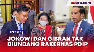 Jokowi dan Gibran Tak Diundang di Rakernas PDI Perjuangan, Djarot Singgung Soal Etika dan Moral