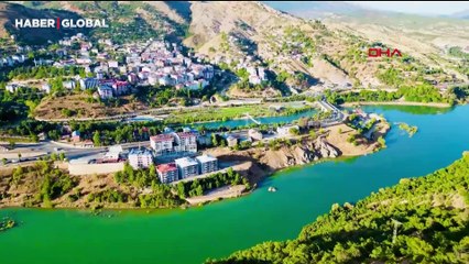 Tunceli'de 'sokak hayvanları uyutulmasın' eylemi