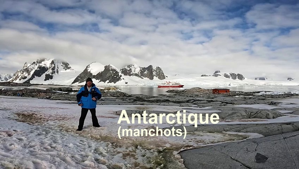Antarctique (manchots)