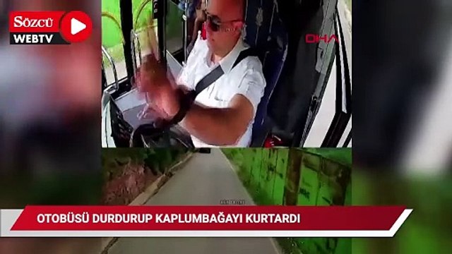 Otobüsü durdurup yoldaki kaplumbağayı ezilmekten kurtardı
