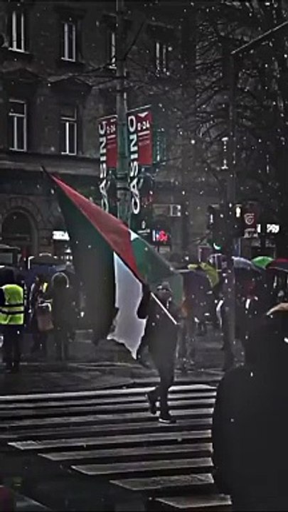 Islamic vedio / Islamic shorts / Palestine vedio / Palestine Muslims