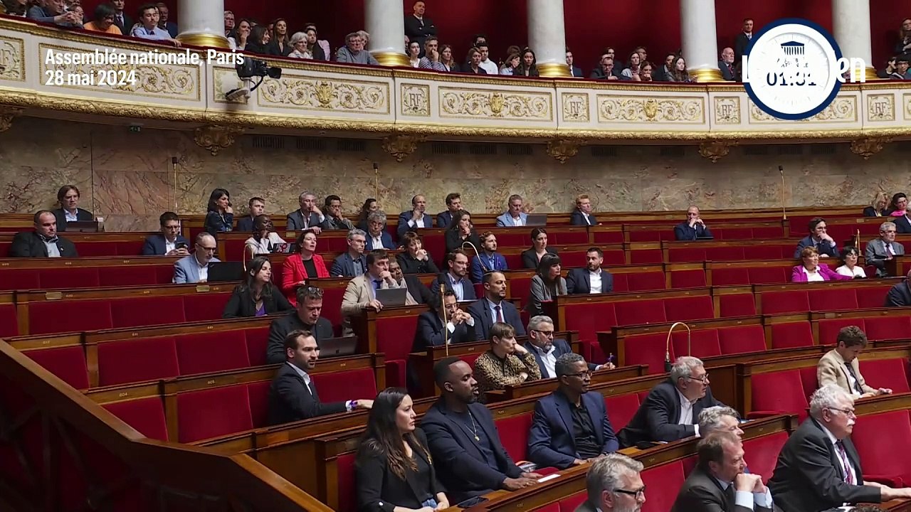Gaza : un député LFI brandit un drapeau palestinien à l’Assemblée nationale, la séance suspendue