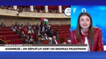 Najwa El Haïté : «LFI en a fait son axe de campagne, ce sont les défenseurs de la cause palestinienne»