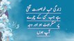 Motivational Islamic quotes __ Inspirational quotes in urdu __ Hazrat Ali (r.a) ke aqwal(720P_HD)(480P)