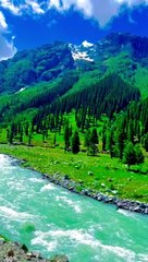 Bhutiya chudail and Motu Patlu Green Screen copyright free