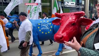 Farmers protest in Brussels demanding 'fair' milk prices