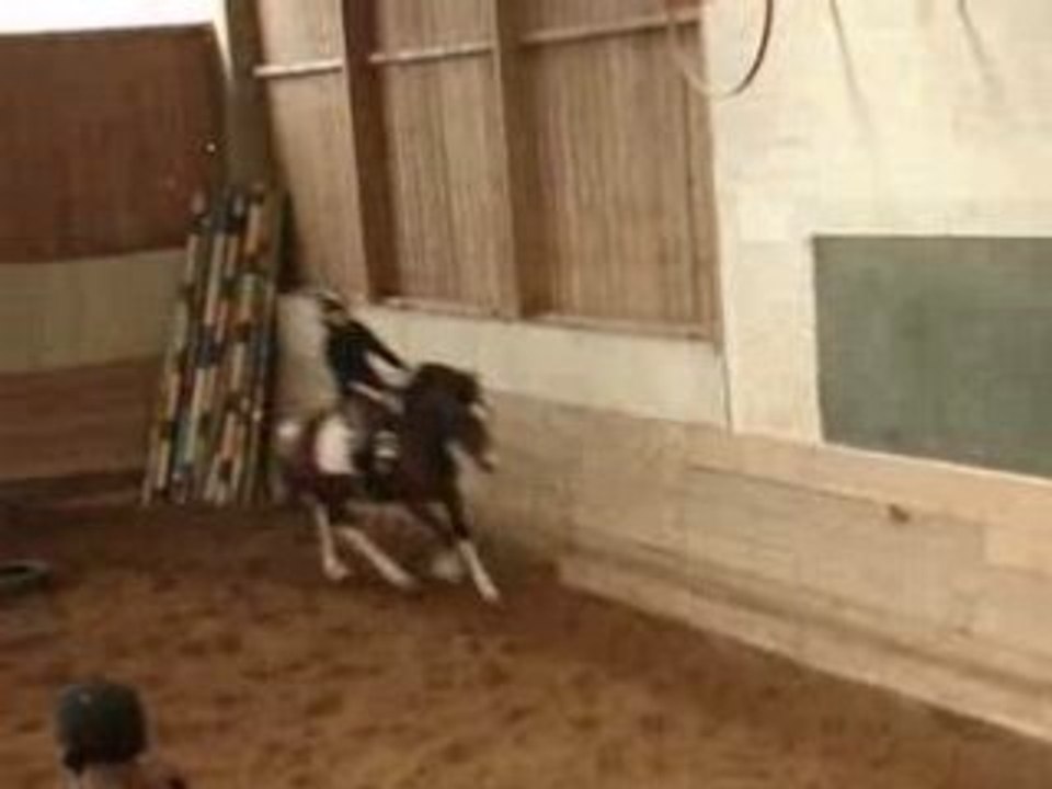 concours 6 avril cheyenne et moi au dressage =)