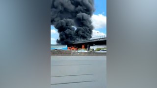 Affrontements entre supporters du PSG et de l’OL près d'un péage, deux bus en feu