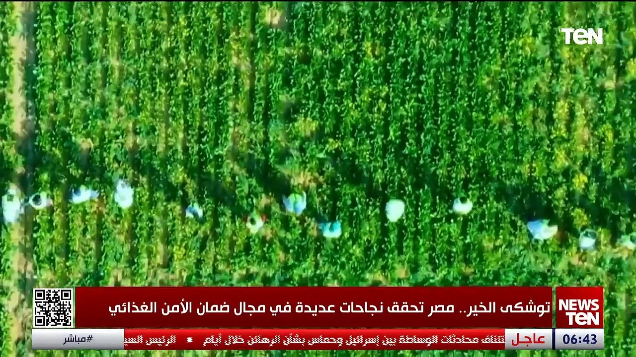 توشكى الخير.. مصر تحقق نجاحًا في مجال ضمان الأمن الغذائي