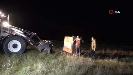 Salda Gölü kenarına kızıl geyikler böyle bırakıldı