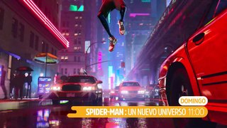 Spider-man: Un nuevo universo