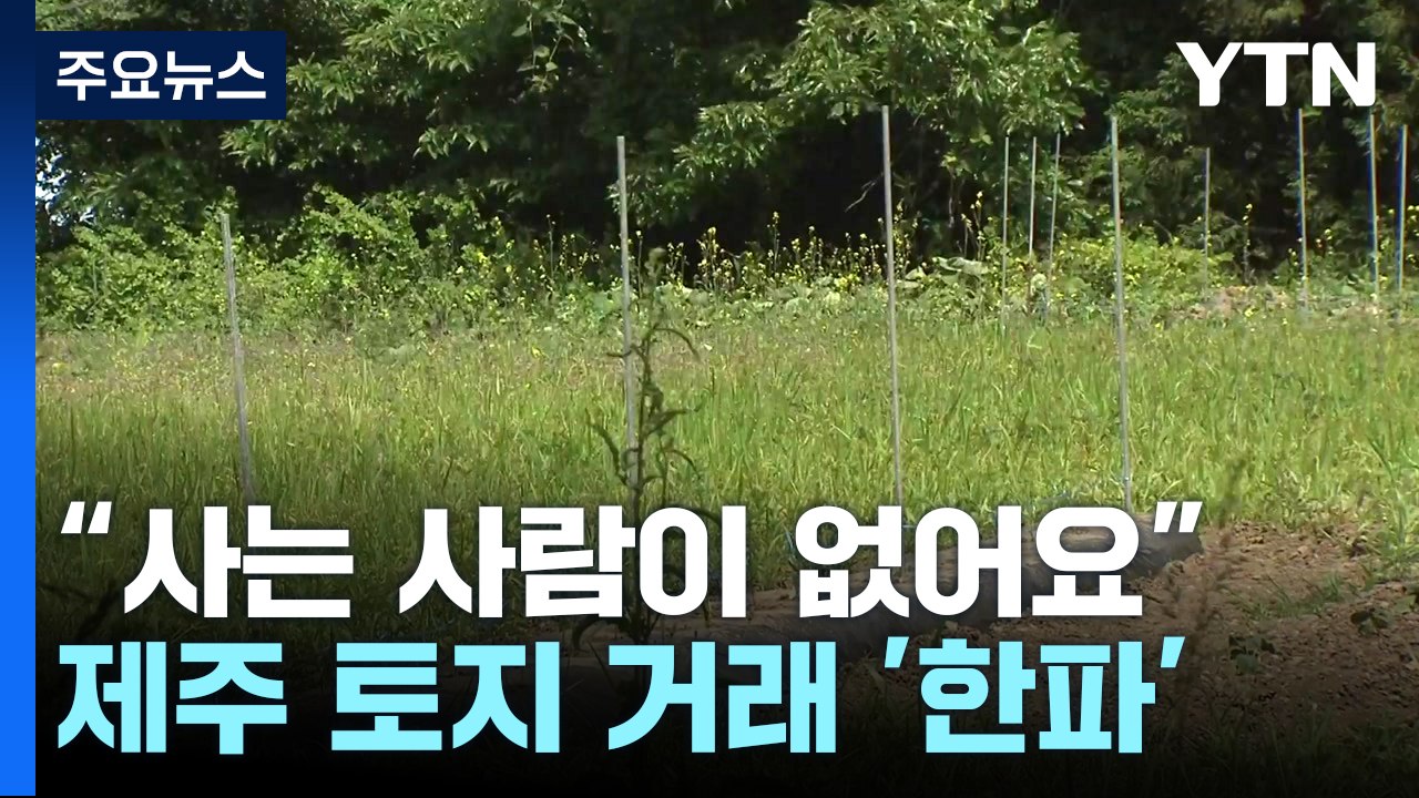 "내놔도 사는 사람이 없어요"...제주 토지 거래 '한파' / YTN