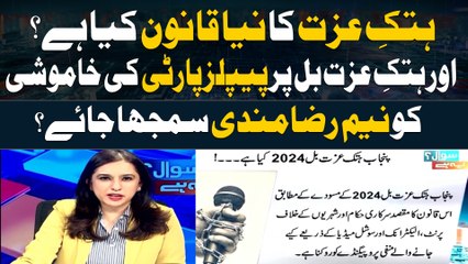 Punjab's New Defamation Law 2024 | Maria Memon's Analysis