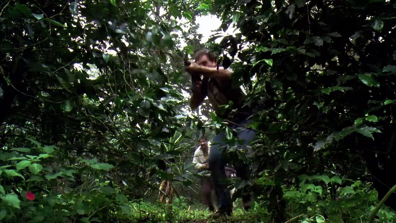 Collateral Damage - Zeit der Vergeltung (2002) stream deutsch anschauen