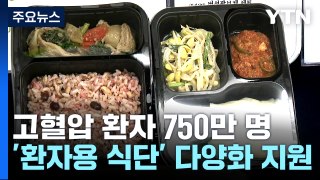 고혈압 환자 750만 명...정부, '환자용 식단' 다양화 지원 / YTN