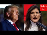 GOP Strategist Reacts To Nikki Haley 'Kissing The Ring' And Announcing Her Vote For Donald Trump