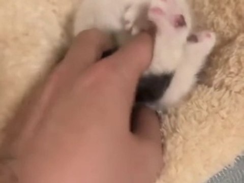 funny fails | funny videos | funny content | #viralshorts #funnyshorts