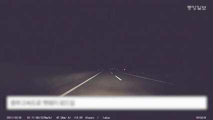 5~6월 로드킬 최다…운전중 야생동물 발견시 하면 안되는 행동