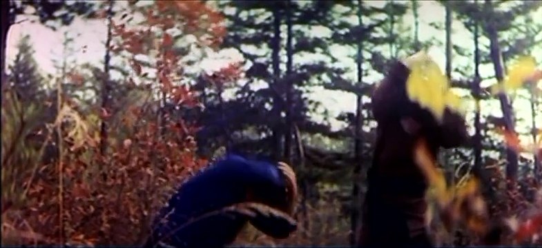 Der Kleine und der Drunken Master (1979) stream deutsch anschauen