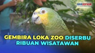 10.000 Wisatawan Serbu Gembira Loka Zoo Yogyakarta saat Libur Panjang Waisak