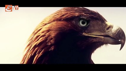 ALP Arsalan Season 1 Episode 55 Urdu Hindi Dubbed Etv facts