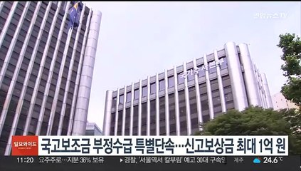 국고보조금 부정수급 7월까지 특별단속…신고보상금 최대 1억원