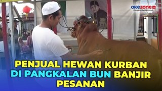 Jelang Iduladha, Penjual Hewan Kurban di Pangkalan Bun Banjir Pesanan