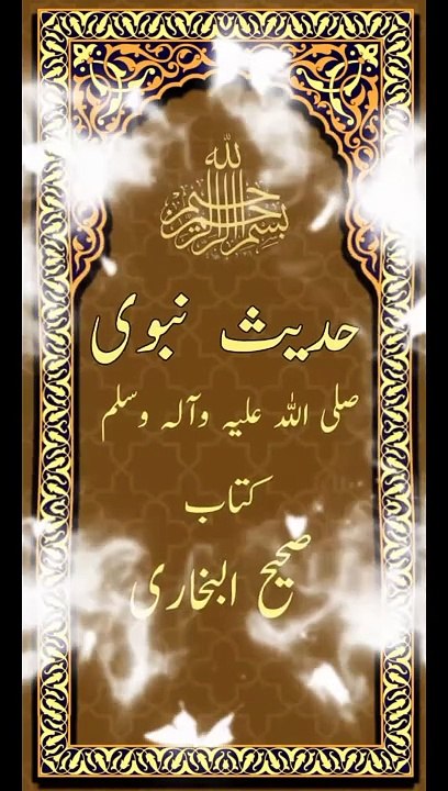 Islamic insights
