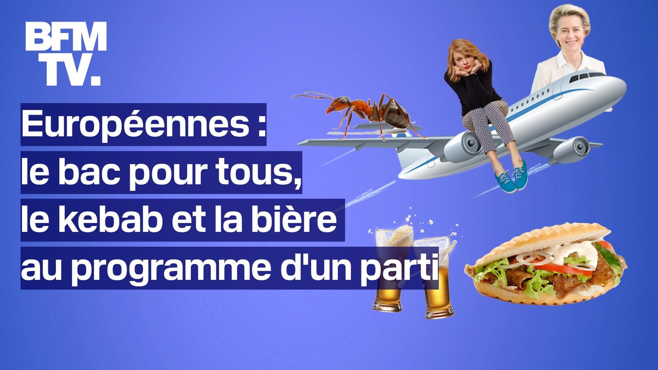 Bac pour tous, kebab et bière à 3 euros… Le programme insolite d'un parti allemand aux élections européennes