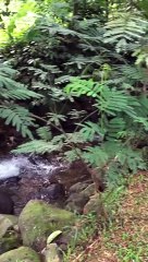 CAMPING AT BESIDE WATERFALL AND RIVERS,,SO BEAUTIFUL