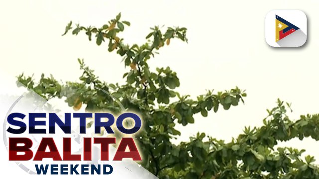 Bagyong #AghonPH, bahagyang lumakas habang tumatawid ng Quezon province