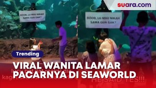 Viral Seorang Wanita Melamar Pacarnya di Seaworld, Netizen Malah Cibir: Cowoknya Nggak Mau Duluan?