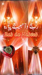 ساڈا تیرے باجوں کوئی نہیں سہارا اقا جی ساڈی لاج رکھنا |نعت