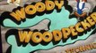 Woody Woodpecker Woody Woodpecker E141 – Woodpecker Wanted