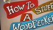 Woody Woodpecker Woody Woodpecker E101 – How to Stuff a Woodpecker