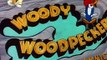 Woody Woodpecker Woody Woodpecker E160 – Secret Agent Woody Woodpecker