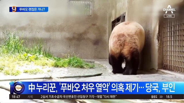 푸바오, 비공개 접객?…中 판다센터 “정황 발견 안 돼”