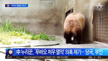 푸바오, 비공개 접객?…中 판다센터 “정황 발견 안 돼”