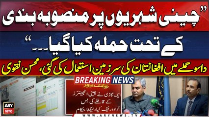 TTP Orchestrated Bisham Attack from Afghanistan, Says Naqvi