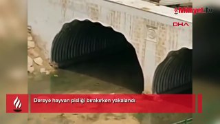 Yer: Mardin! Dereye hayvan pisliği bırakırken yakalandı