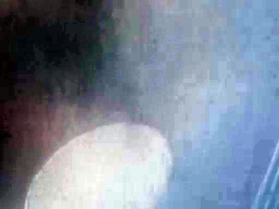 MAQ00834
