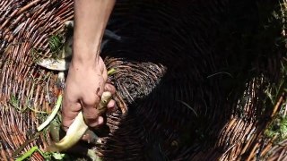 Fishing festival in India's Kashmir helps clean spring water