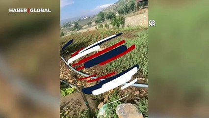 Download Video: Doğada eşine az rastlanıyor, Kahramanmaraş'ta cep telefonu kamerasına yansıdı