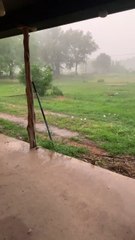 DE LA GRÊLE DE LA TAILLE DU BASEBALL PLEUT AU TEXAS ‼️ Parallèlement à une série d'horribles tornades, les Texans ont été frappés par une grêle massive.