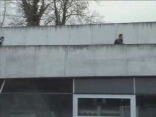 7_ Les jardins de Weil_Am_Rhein