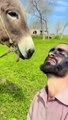 Funny donkey comedy video #donkey #comedy #funny #foryourpage #viral#trending