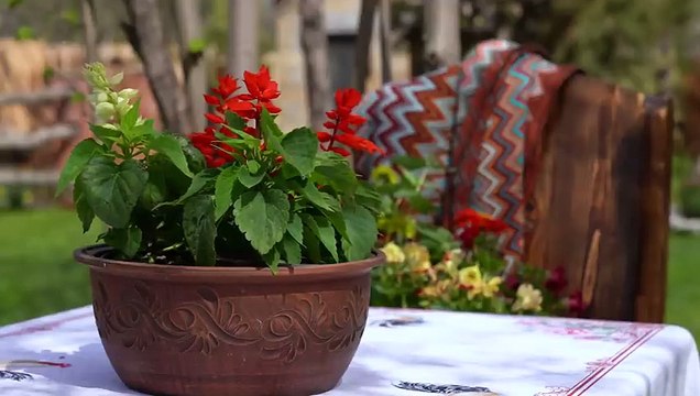 The King Dish of Azerbaijani Cuisine - SHAKH PILAF - With Beef and Pumpkin_HIGH
