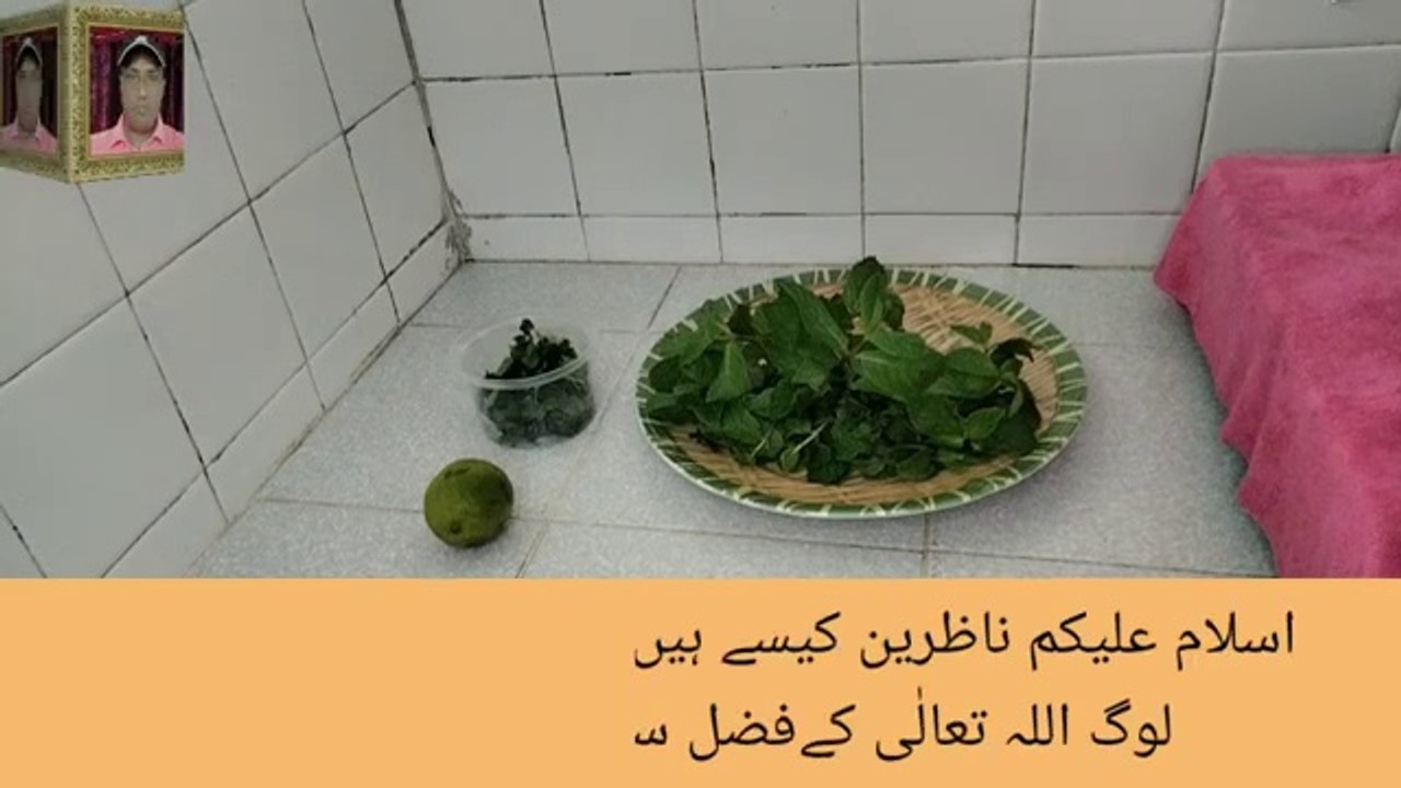 How to make Mint and Lemon juice_Lemont mint lemonade video Dailymotion